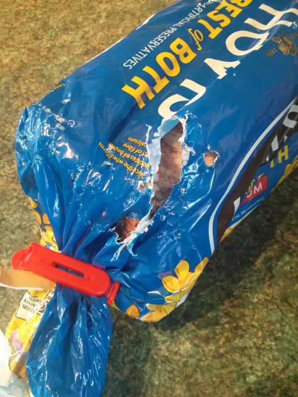 It seems we are declaring war against next door's cats - who started tucking into our loaf of bread :-( #cats  - embedded image