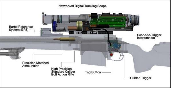 embedded tweet image