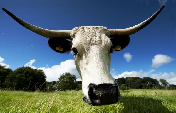 RT Mooorning all. Happy Tuesday.  - embedded image
