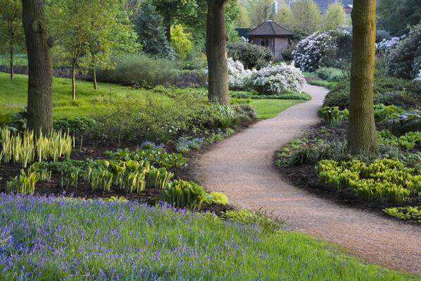 RT Seven reasons why you should swap your screen for a bit of #wildtime this spring http://t.co/2wgbUpazAi  - embedded image