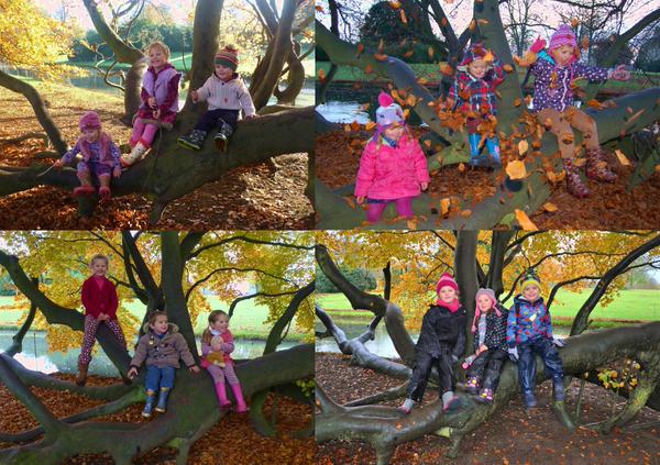 RT RT @AlpinesGrasses #NationalTreeWeek - same tree, same day, 4 years. A very special tree. @BeltonNewsNT  - embedded image 