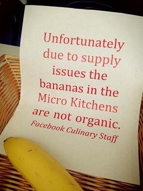 Harsh working conditions in Silicon Valley http://t.co/XlJJL3kPZN - embedded image