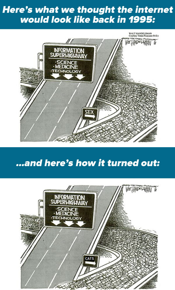 RT The internet as we thought it would work out back in 1995 vs. how it actually worked out:
http://t.co/qTXd9D18F7  - embedded image 
