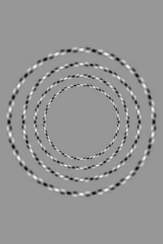 RT There are only 4 circles and none of them touch.  - embedded image 