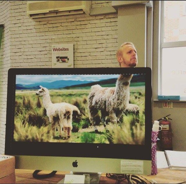 RT Rob from @Nettl_Reading loving the #nettlheads @nettlweb #design #webdesign #reading #printing  - embedded image 