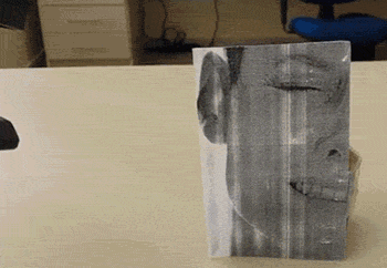 RT This is my new favorite GIF.  - embedded image 