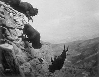 RT True Vendor Call 
Our software protects you from buffalo overflows.
Me:Excuse me, What? o_O
Buffalo Overflows.
Me: OK  - embedded image 