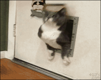 RT Some days programming is like striding boldly forth into the bright future. Most days it's more like  - embedded image 