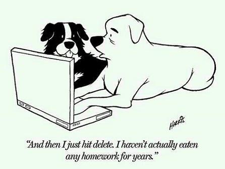 RT  - embedded image 