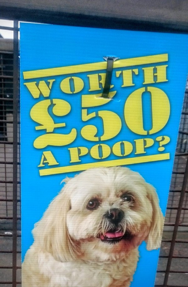 How to make money from your dog.  - embedded image 