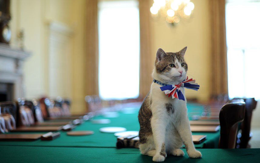 RT It's increasingly clear there is only one figure in British politics capable of leading us out of this crisis  - embedded image 