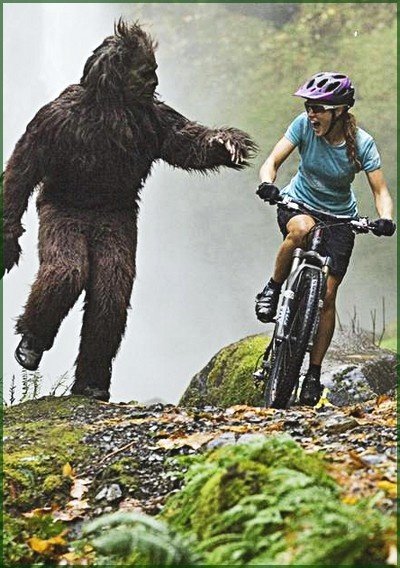 RT Do you enjoy cycling? Thanks to the EU cycling is a safe enjoyable hobby. Post #brexit however...  - embedded image 