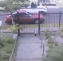 RT Your package in here.  - embedded image 
