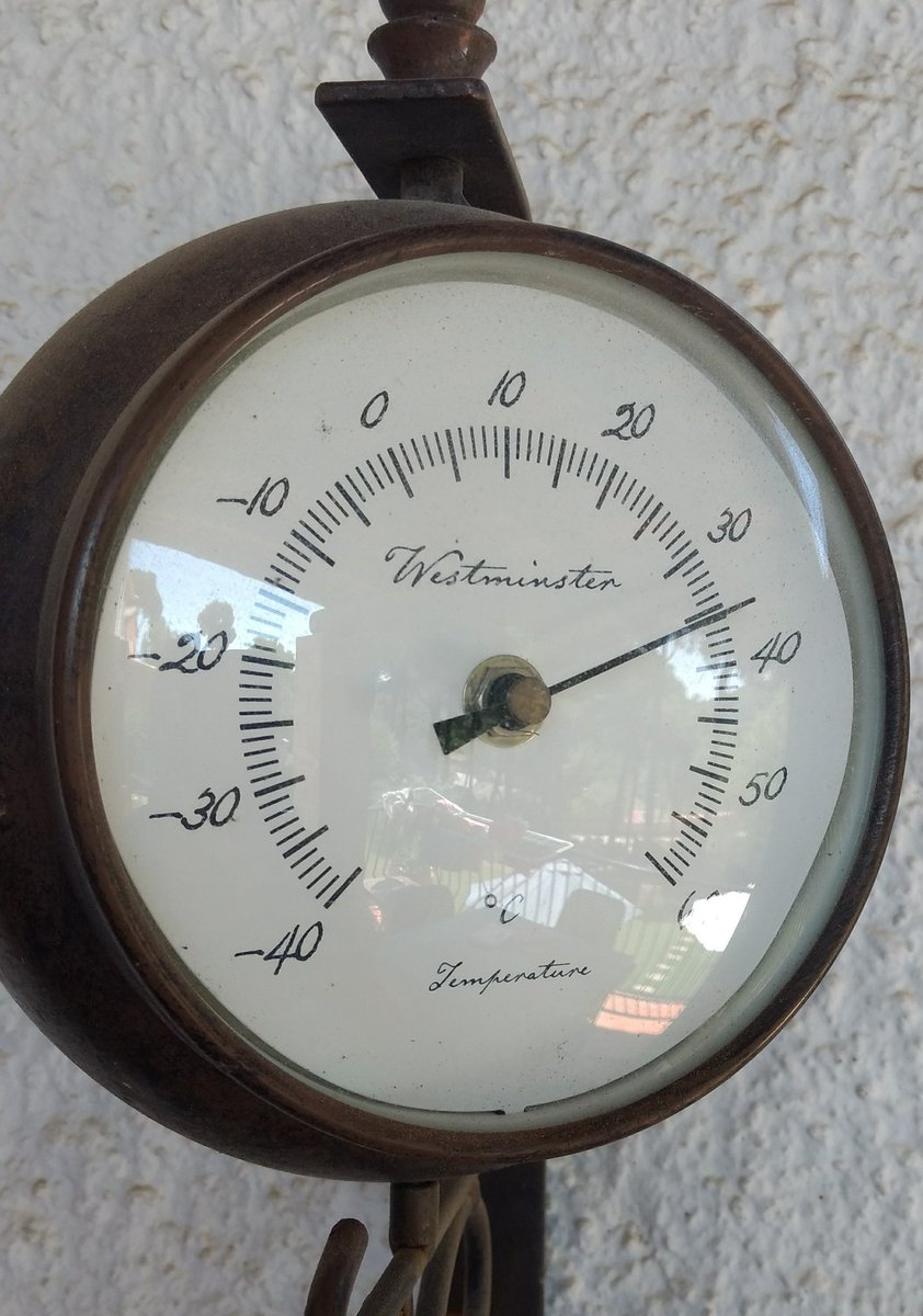 This country is too hot. And there are biting insects. 36'c is enough for me. It's time to leave.  - embedded image 