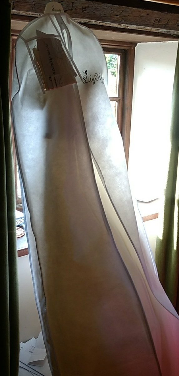 Spare dress, ready for the charity shop ... found!  - embedded image 