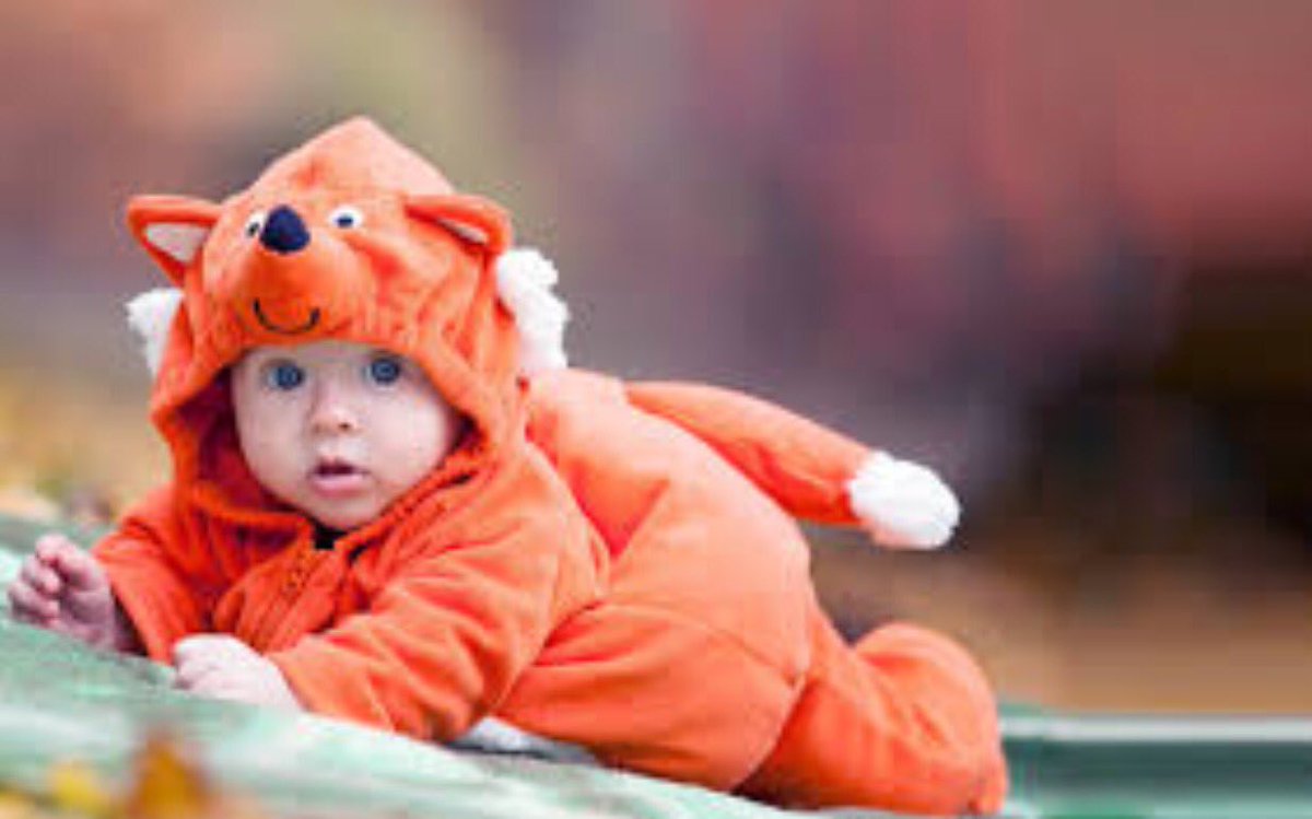 RT Reports of feral children roaming our cities have been greatly exaggerated.  - embedded image 