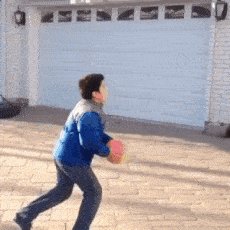 RT Brexit in a single gif  - embedded image 