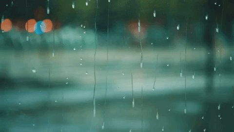 unexpected; hope it keeps going for a few hours. #rain  - embedded image 