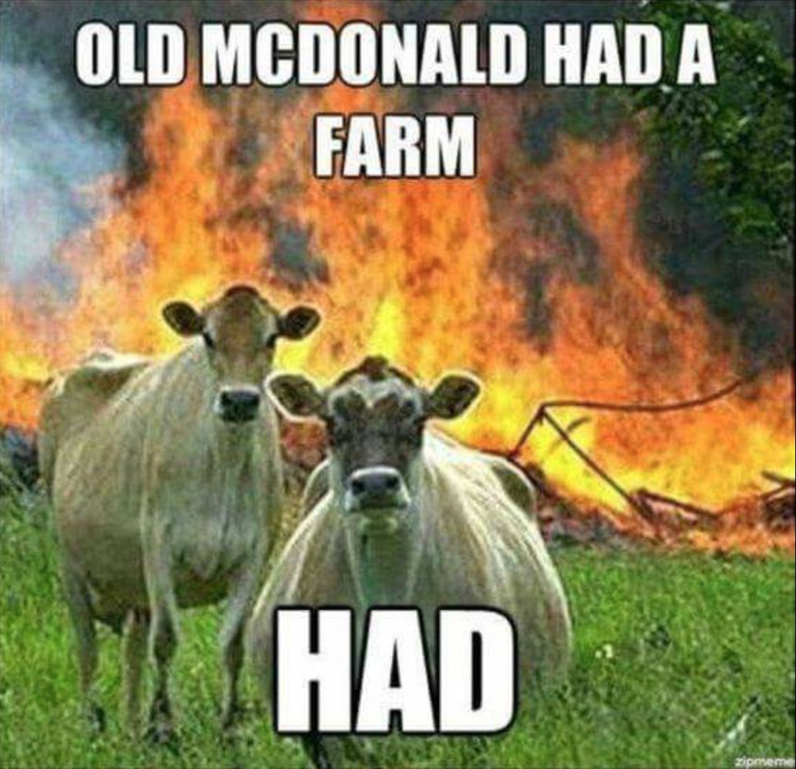 RT IMHO, the world needs more anti-capitalist cow memes.  - embedded image 