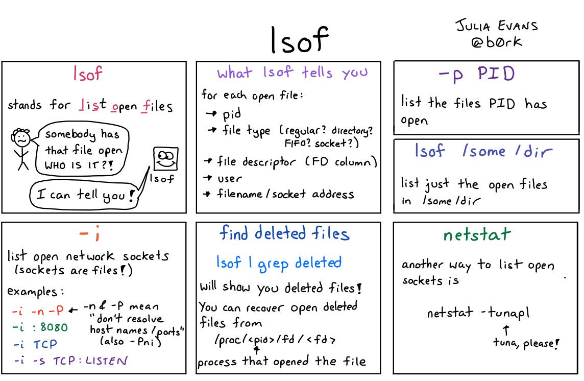 RT lsof  - embedded image 