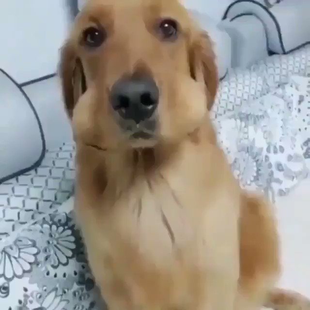 RT Erm. Nope. I have not seen your eggs  - embedded image 