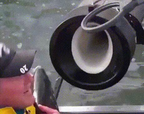 RT Who said a perfect gif doesnt exist? 
#WednesdayWisdom  - embedded image 