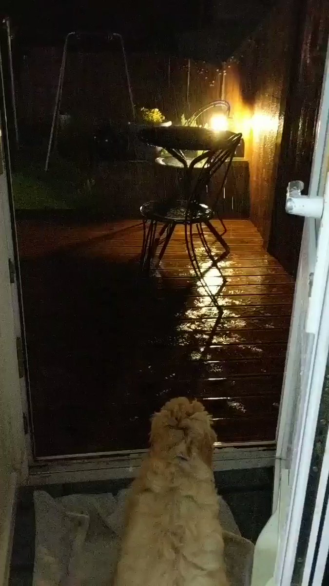 "Nope. I'm not getting wet."  - embedded image 