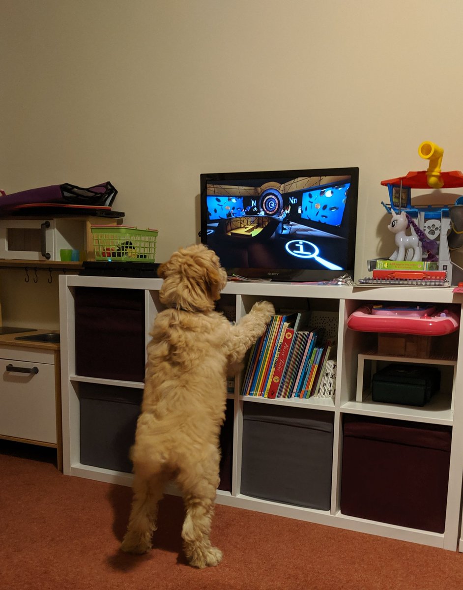 Just watching QI.  - embedded image 