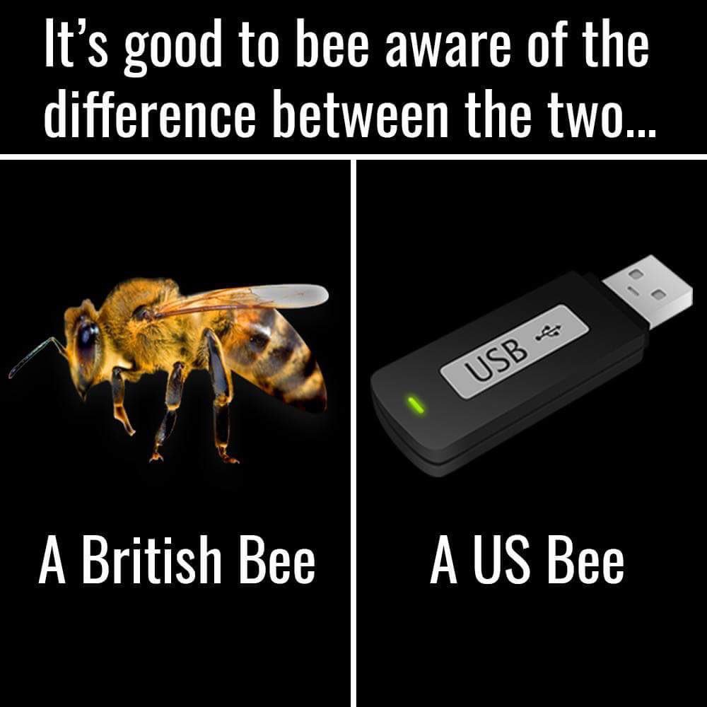 RT A US   - embedded image 