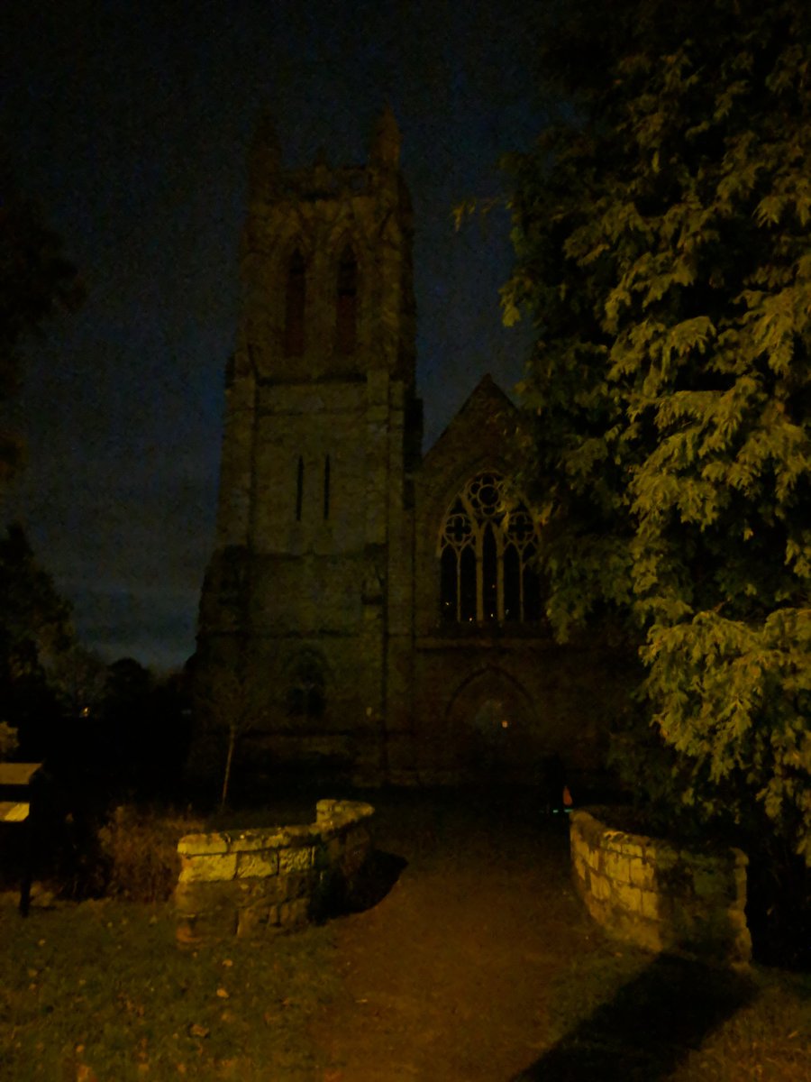 Night sight. #pixel2xl  - embedded image 2