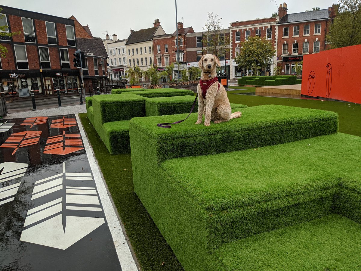 Woof woof woof #birdbox #bromsgrove  - embedded image 