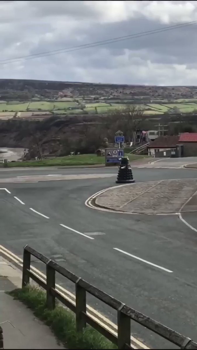 RT Wildlife is finally returning to Britain’s streets. Nature is healing ✌️  - embedded image 