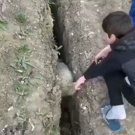 RT Literally every bugfix I make  - embedded image 